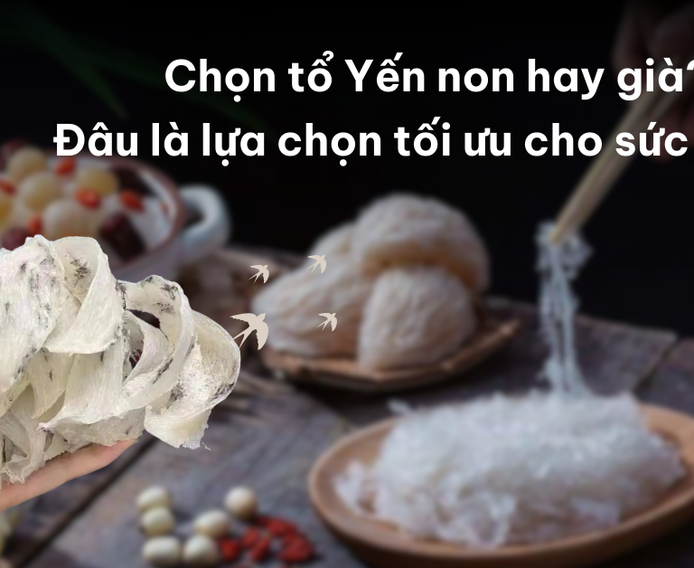 Tổ yến non hay già tốt Đâu là lựa chọn tối ưu cho sức khỏe